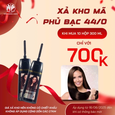 Xả kho Combo 10 hộp phủ bạc 44/0