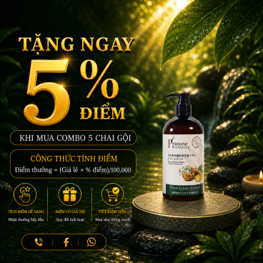MPT - Combo 5 Dầu Gội Prosee PS12 Dưỡng Sinh Gừng 500ml – Dưỡng Tóc Khỏe, Mềm Mượt